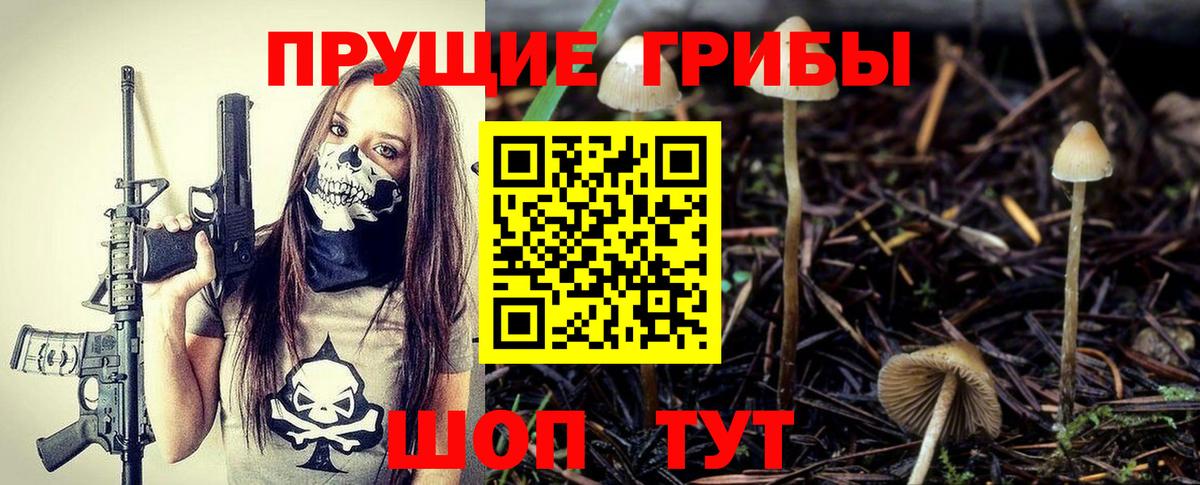 Псилоцибиновые грибы мухоморы Корсаков