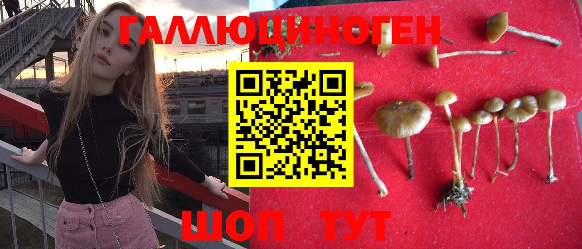 Корсаков  купить  цена  Вход с VPN  Псилоцибиновые грибы прущие грибы 